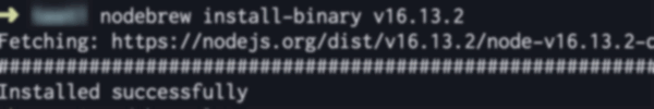 nodebrew install-binary